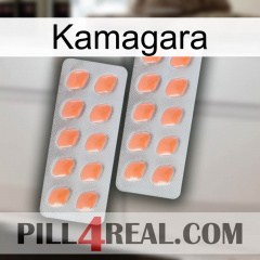 Kamagara 27